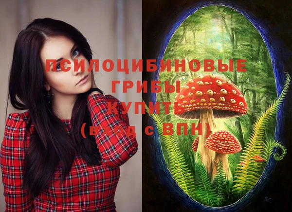 стафф Абдулино