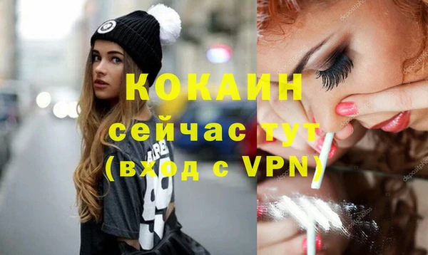стаф Абинск