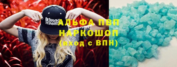 стаф Абинск