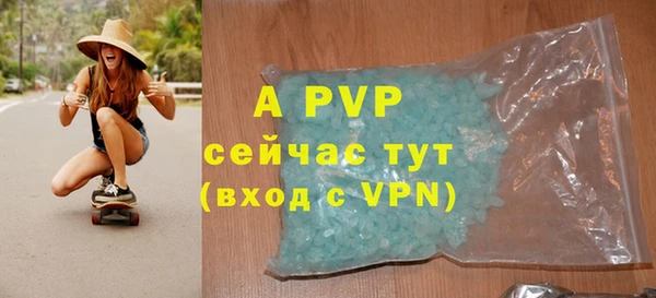 стаф Абинск